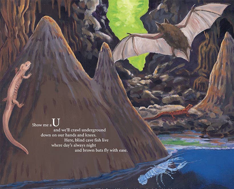 A MISSOURI Alphabet picture book: S is for Show Me