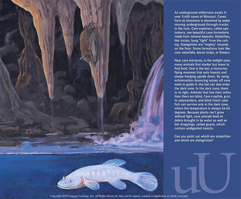 A MISSOURI Alphabet picture book: S is for Show Me