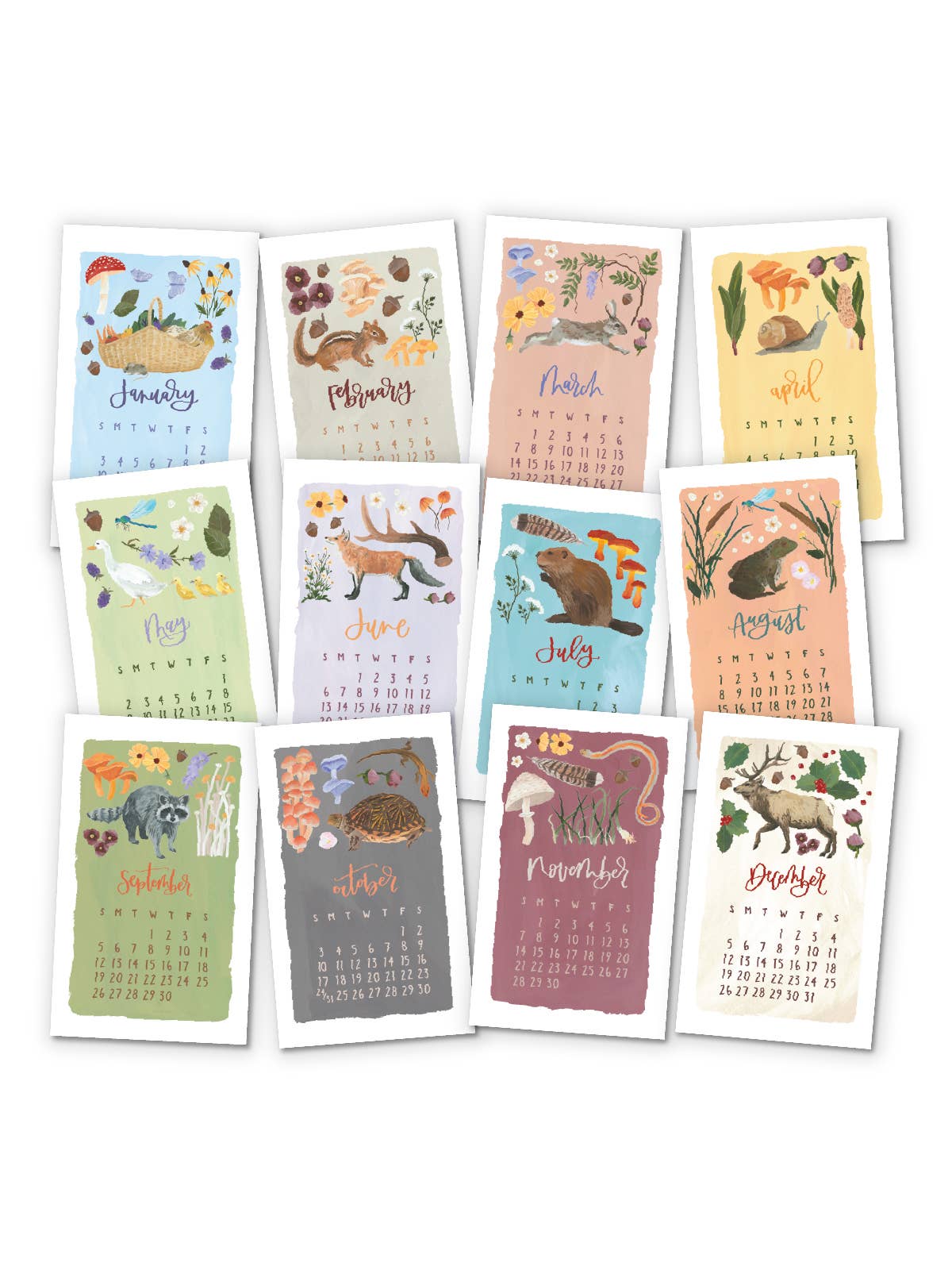 2027 Flora & Fauna Petite Hanging Wall Calendar