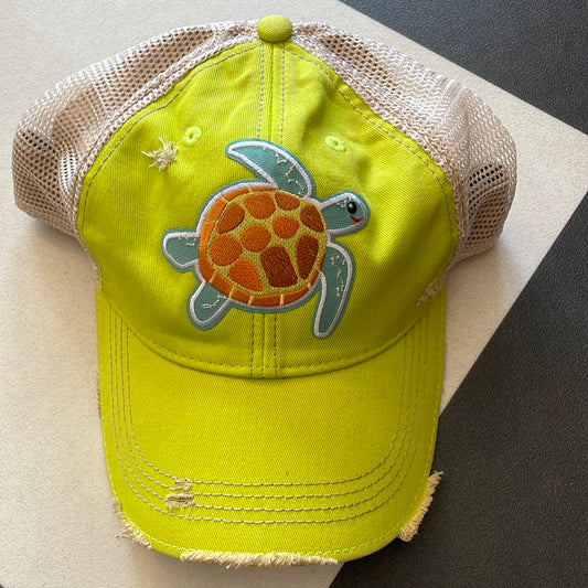 Turtle hat