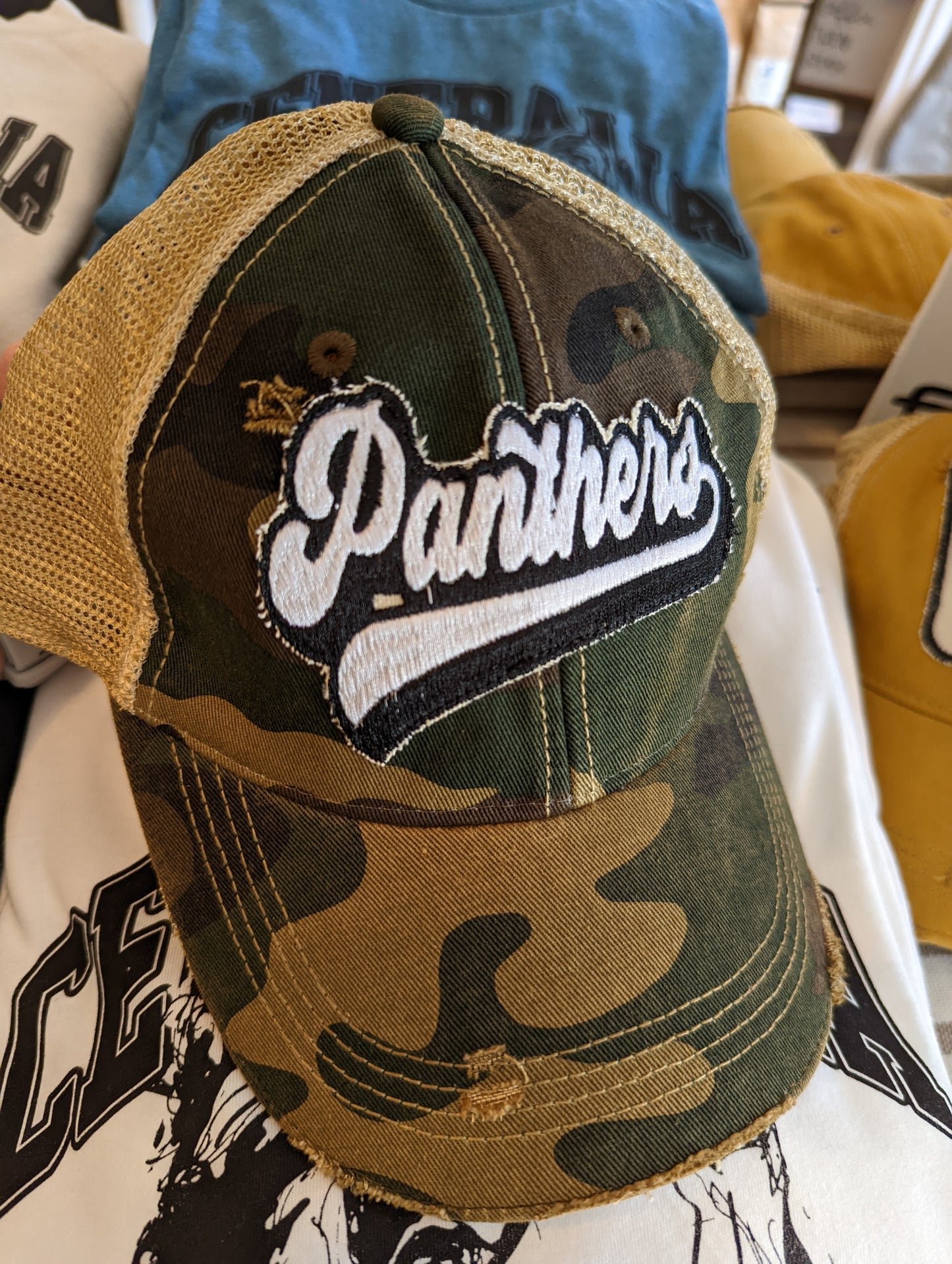 Retro Panthers Hat