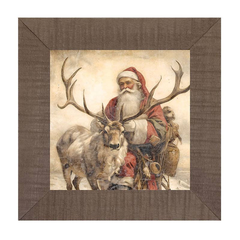 Reindeer with Santa  1
