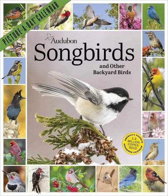 Audubon Songbirds & Other Backyard Birds Picture-A-Day® 2027