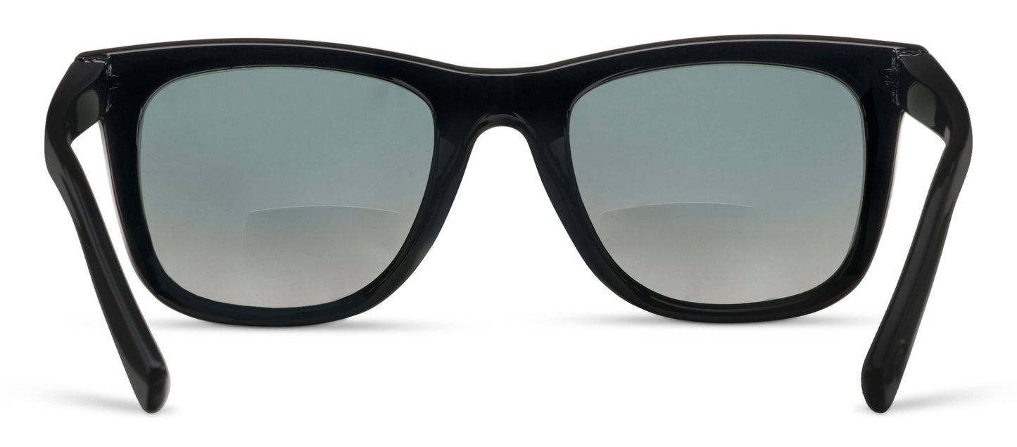 Harbor (Sunglasses)