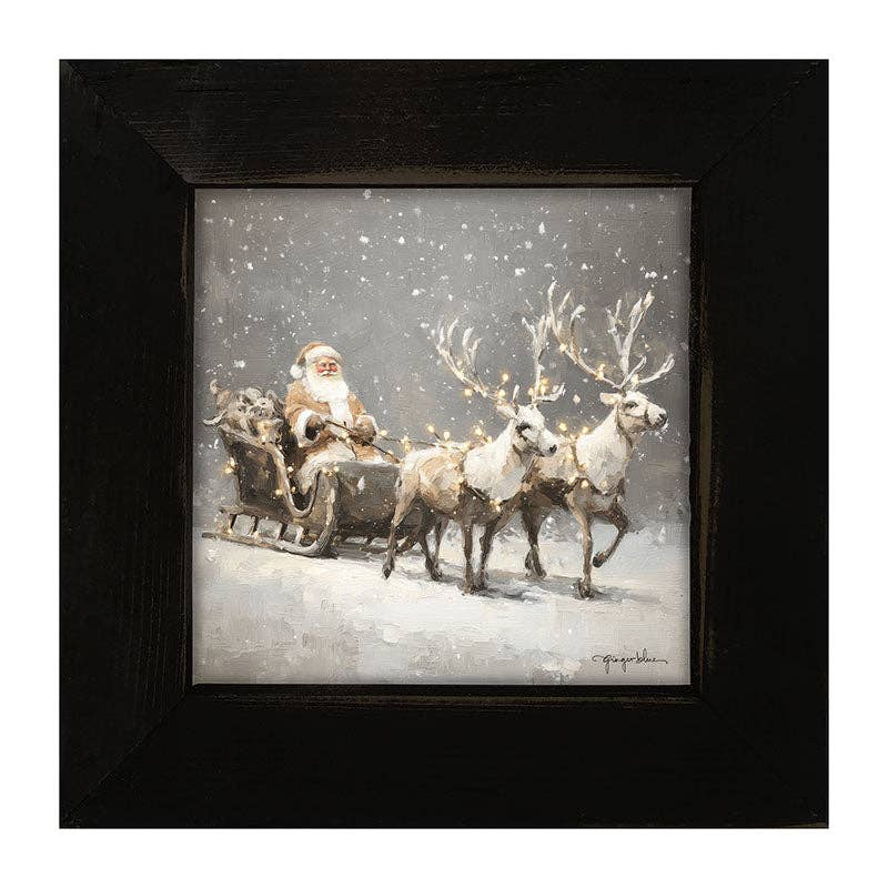 Christmas Lights on Sleigh