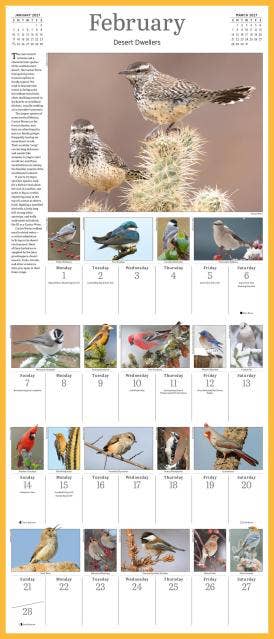 Audubon Songbirds & Other Backyard Birds Picture-A-Day® 2027