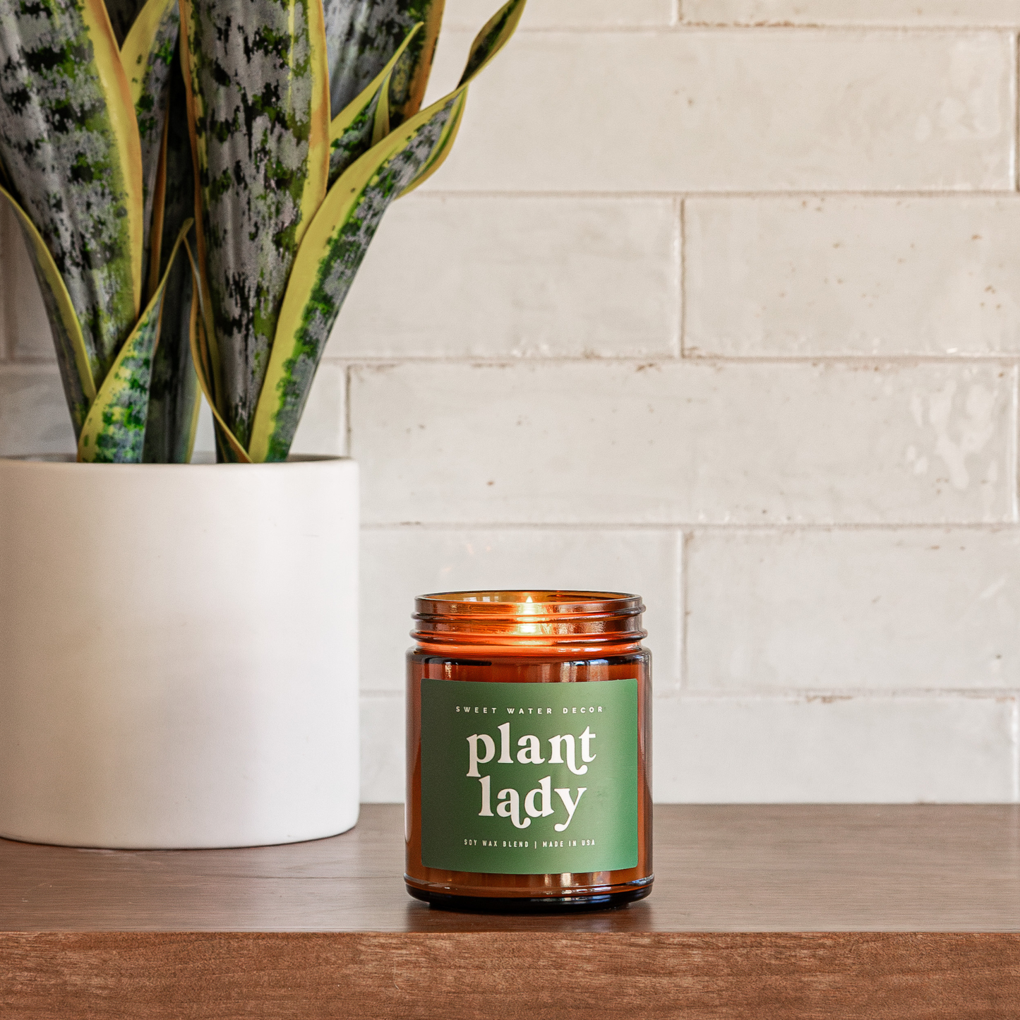 LIMITED EDITION Plant Lady 9 oz Soy Candle - Home Decor