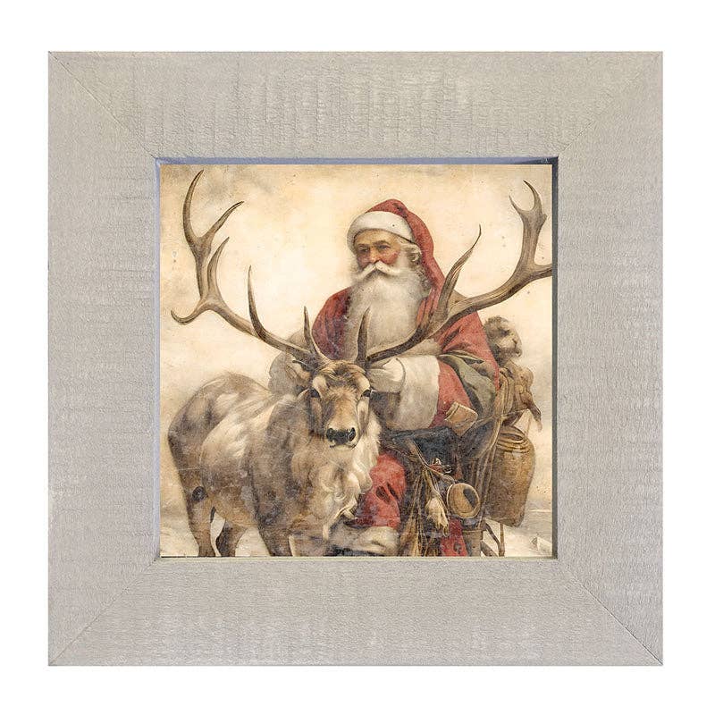 Reindeer with Santa  1
