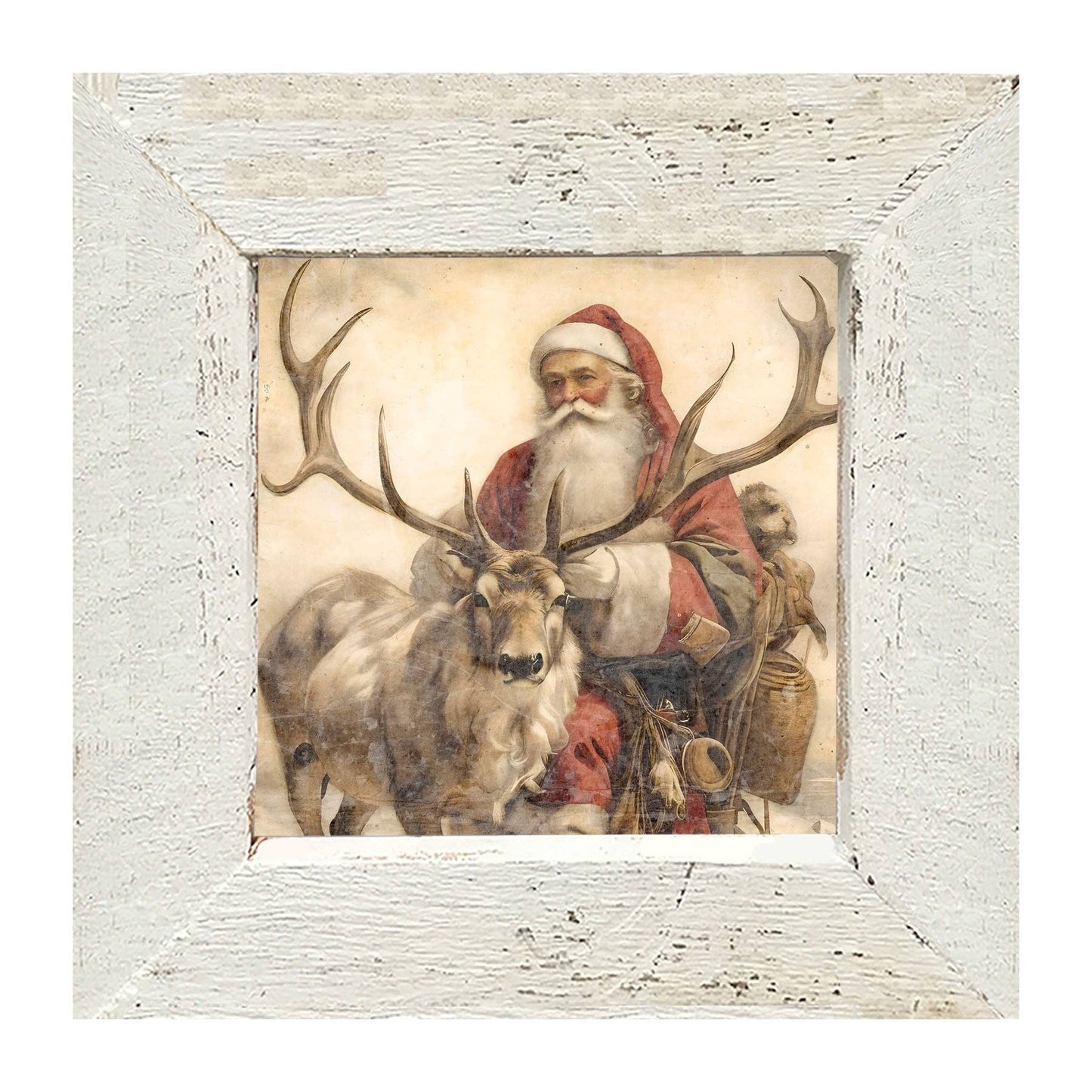 Reindeer with Santa  1
