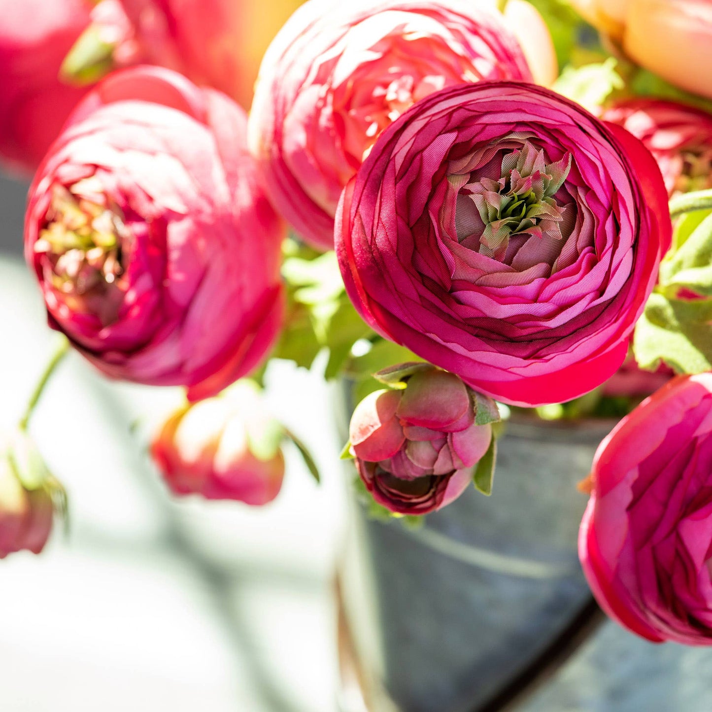 Summer Ranunculus Pink Cerise Mix Peony