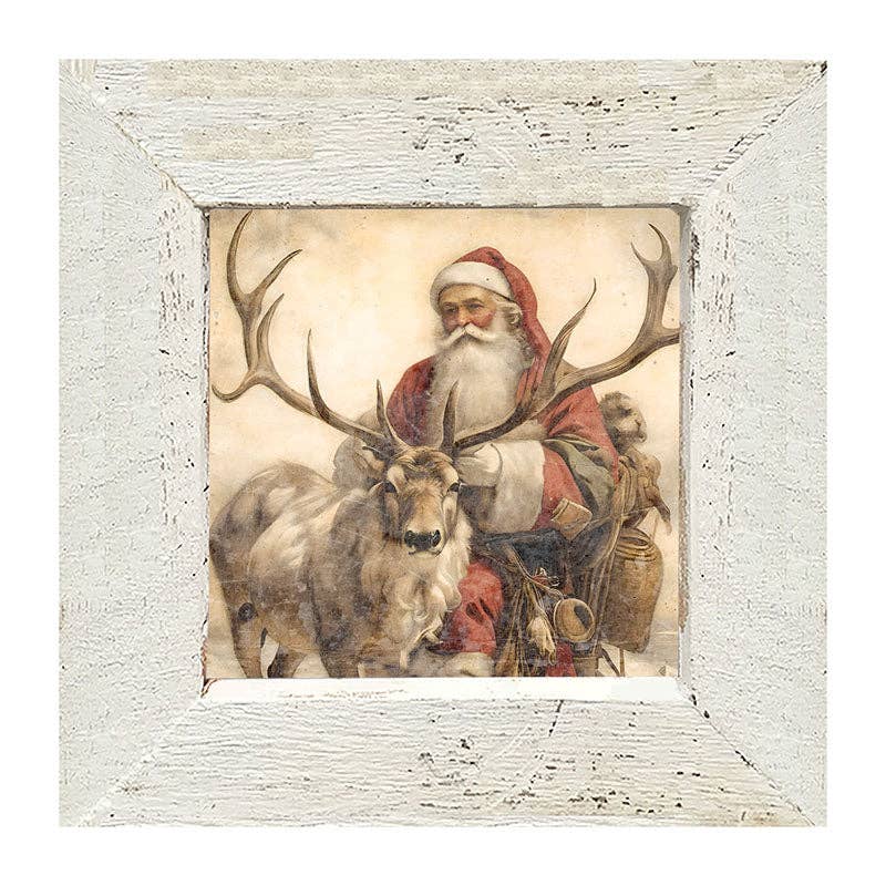 Reindeer with Santa  1