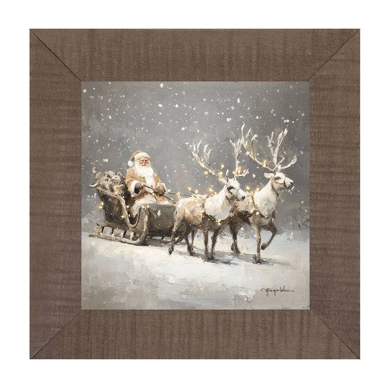 Christmas Lights on Sleigh