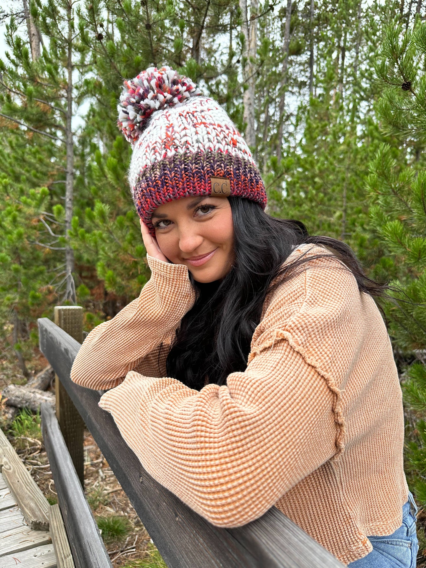 Fuzzy Lined Multicolored Yarn Pom C.C Beanie