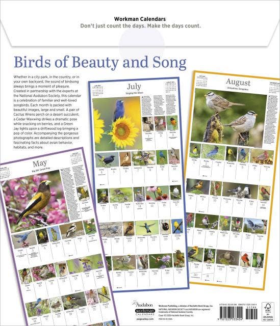 Audubon Songbirds & Other Backyard Birds Picture-A-Day® 2027