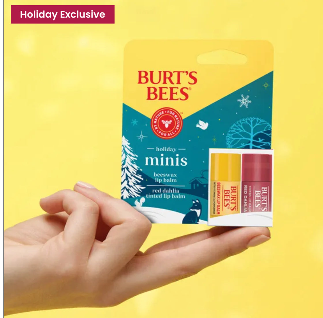 Burt's Bee’s Holiday Minis Set