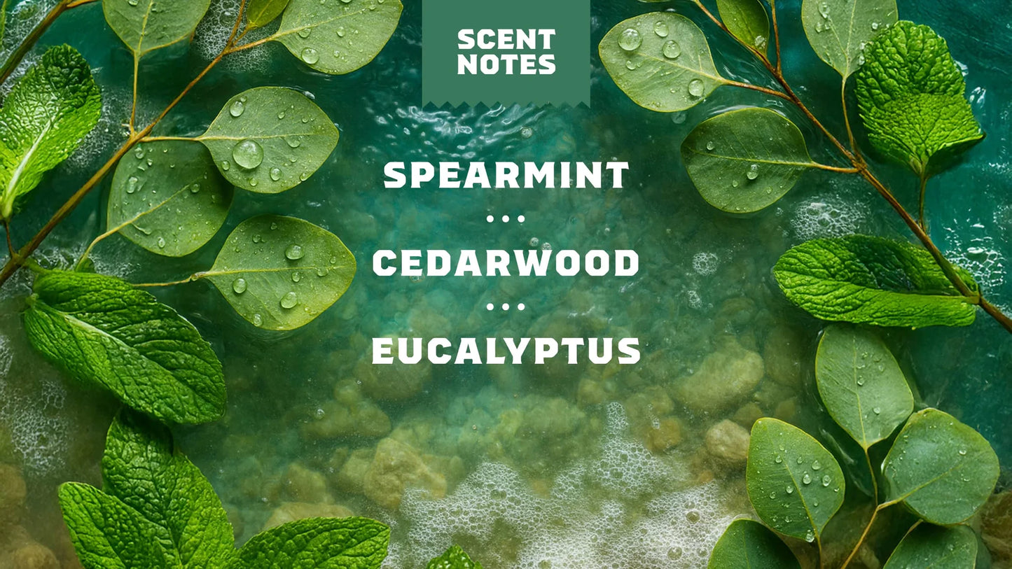 Dr. Squatch Rainforest Rapids Body Wash
