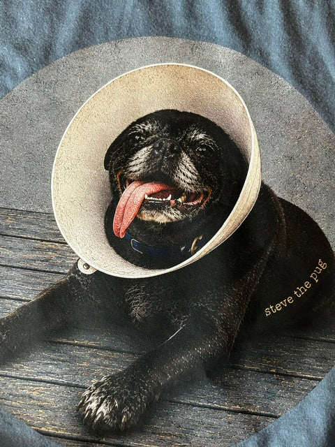 Steve the Pug: Cone of Shame Tee