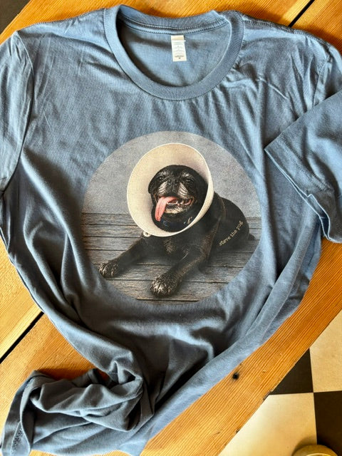 Steve the Pug: Cone of Shame Tee