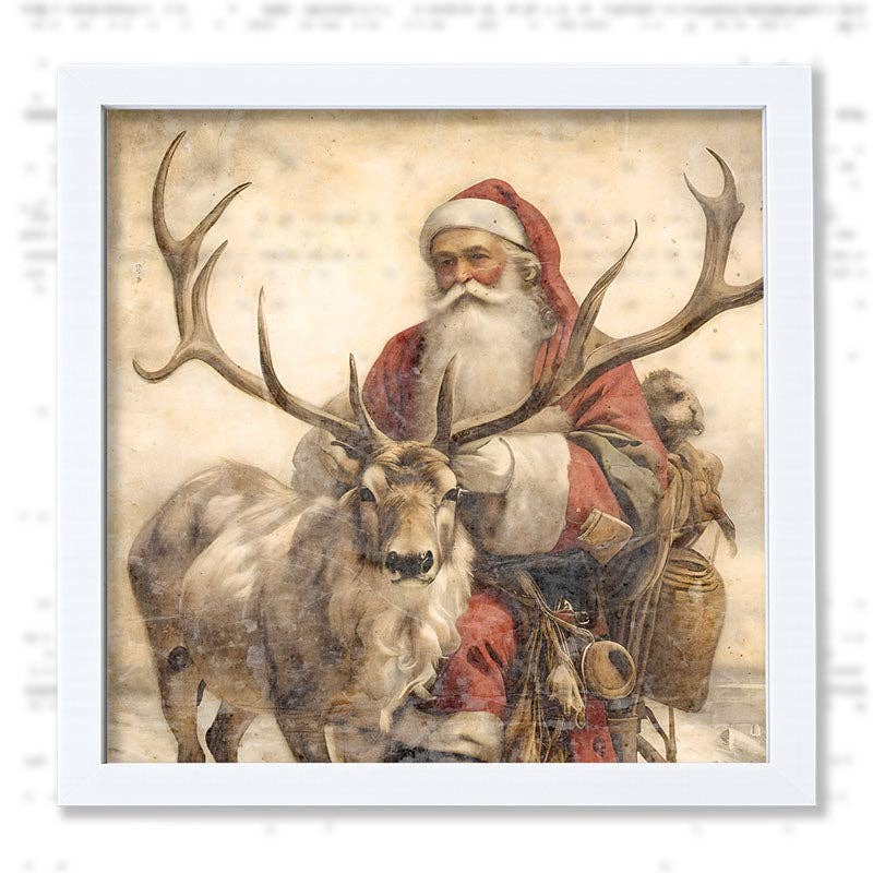 Reindeer with Santa  1