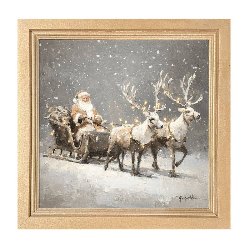 Christmas Lights on Sleigh