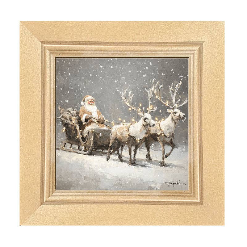 Christmas Lights on Sleigh