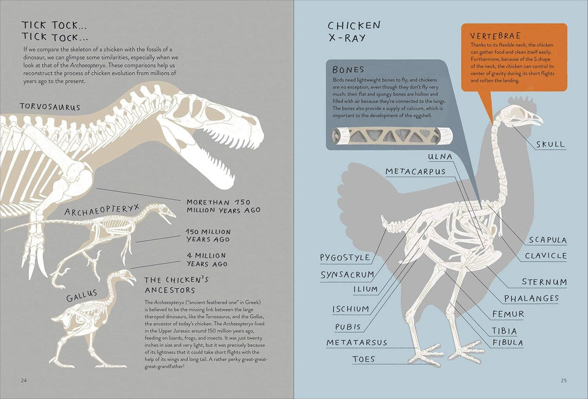 Chickenology