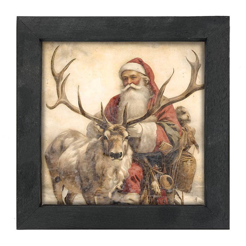Reindeer with Santa  1