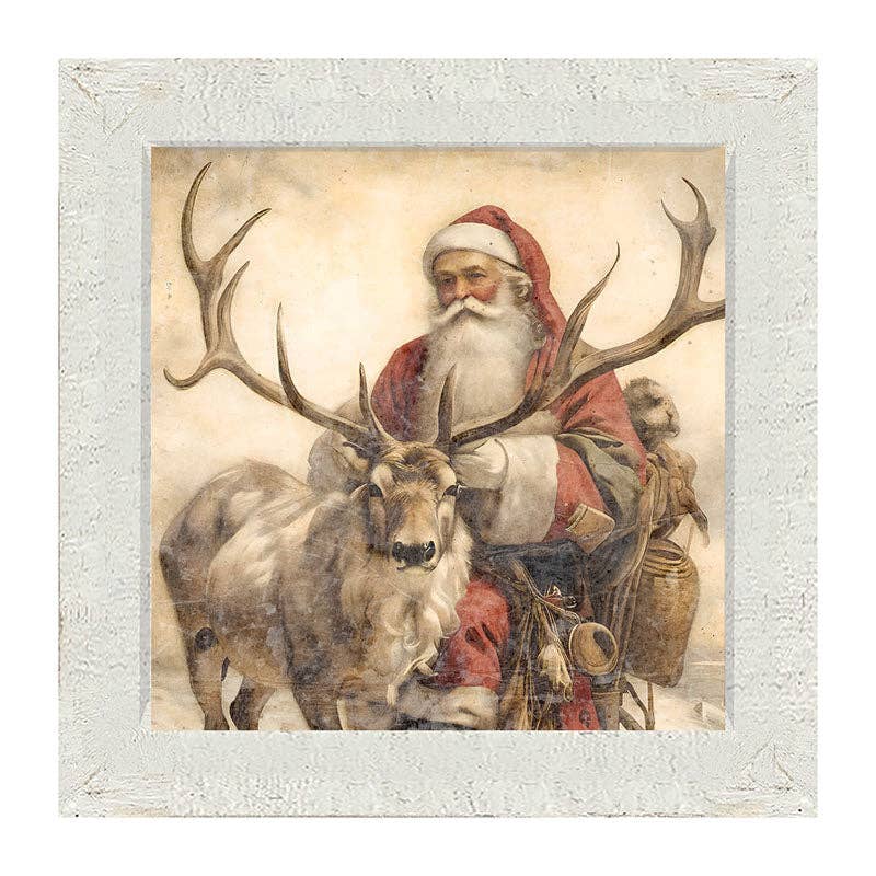 Reindeer with Santa  1