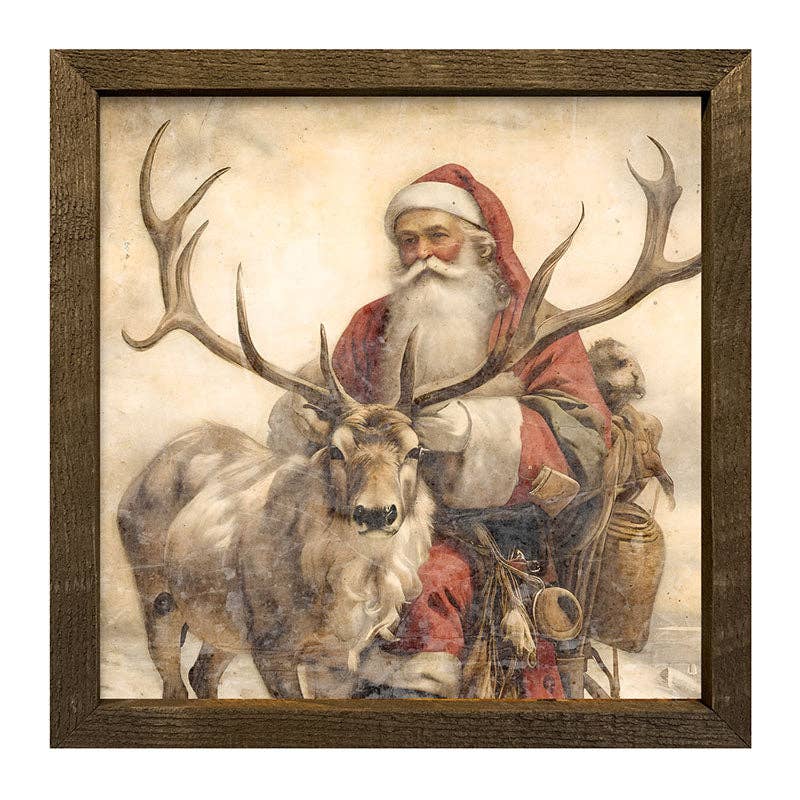 Reindeer with Santa  1