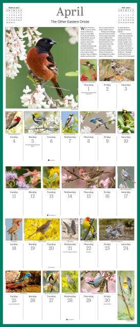 Audubon Songbirds & Other Backyard Birds Picture-A-Day® 2027