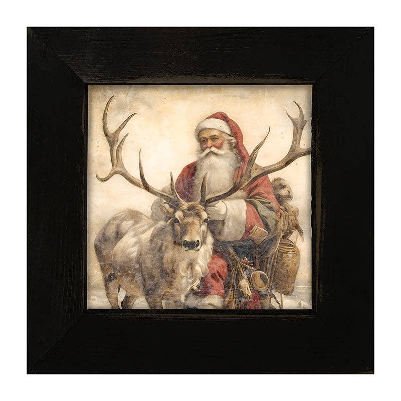 Reindeer with Santa  1