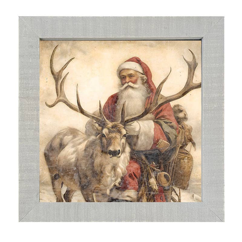 Reindeer with Santa  1
