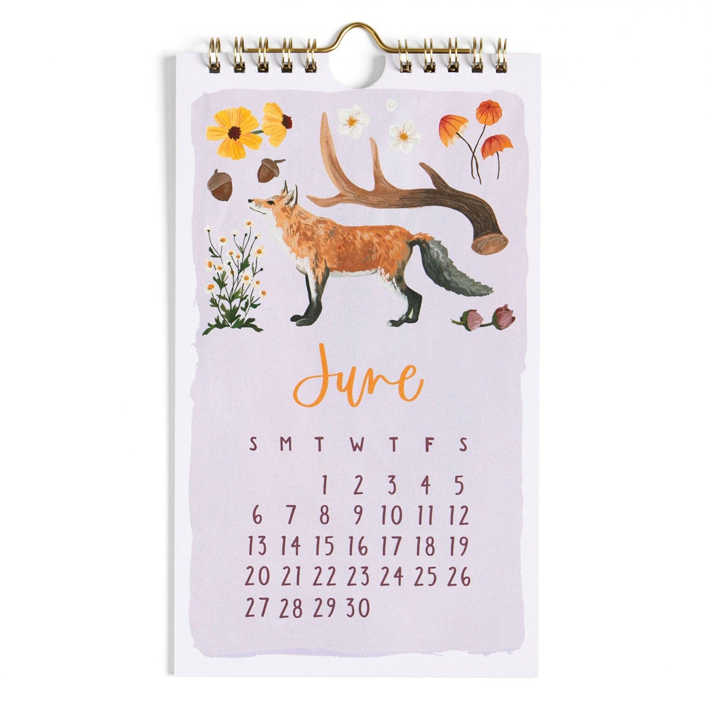 2027 Flora & Fauna Petite Hanging Wall Calendar