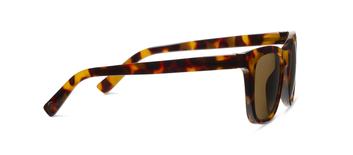 Harbor (Sunglasses)