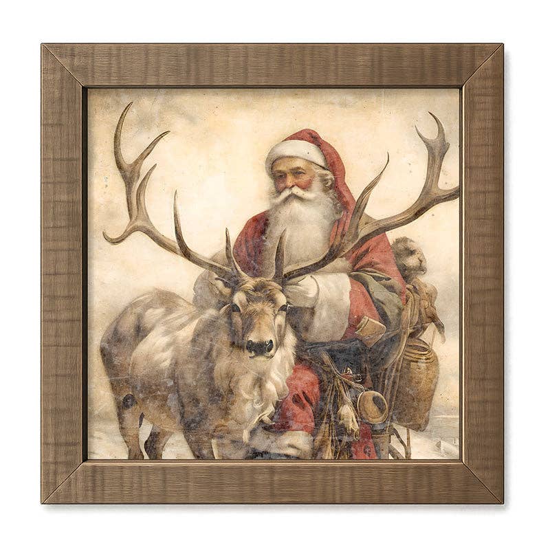 Reindeer with Santa  1