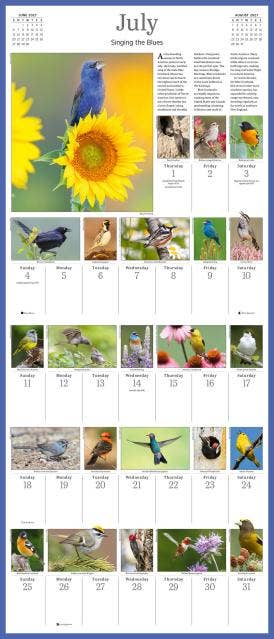 Audubon Songbirds & Other Backyard Birds Picture-A-Day® 2027