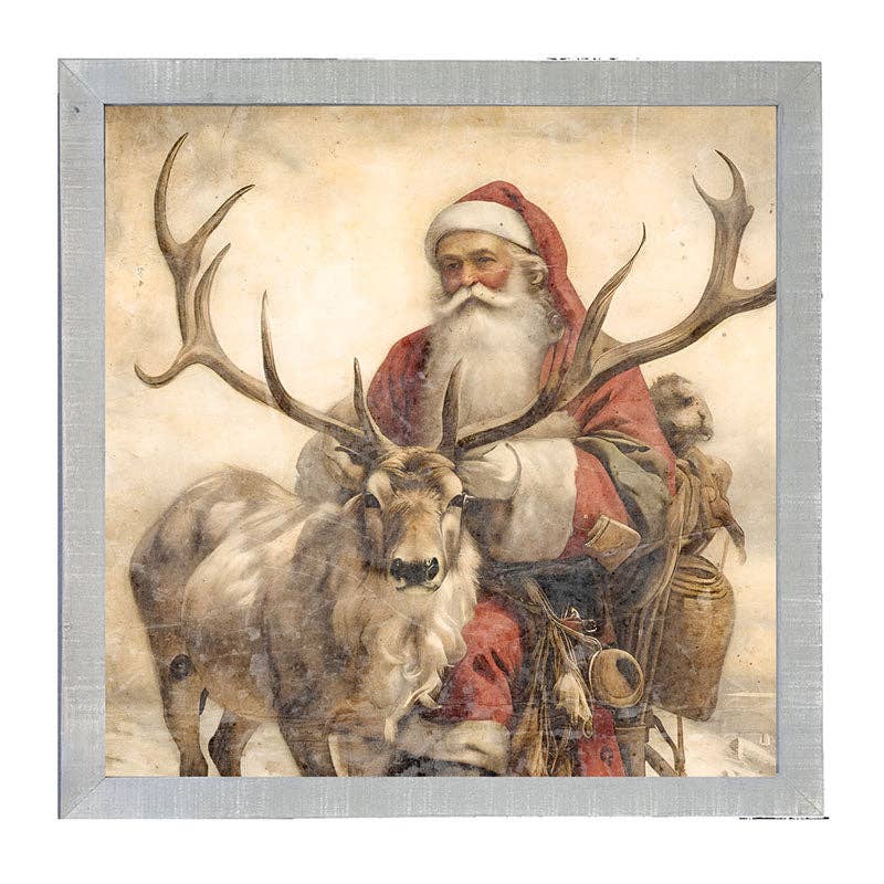 Reindeer with Santa  1